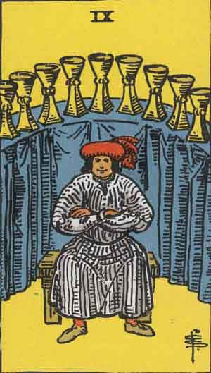 Tarot Card by Card - Nine of Cups - The Tarot Lady