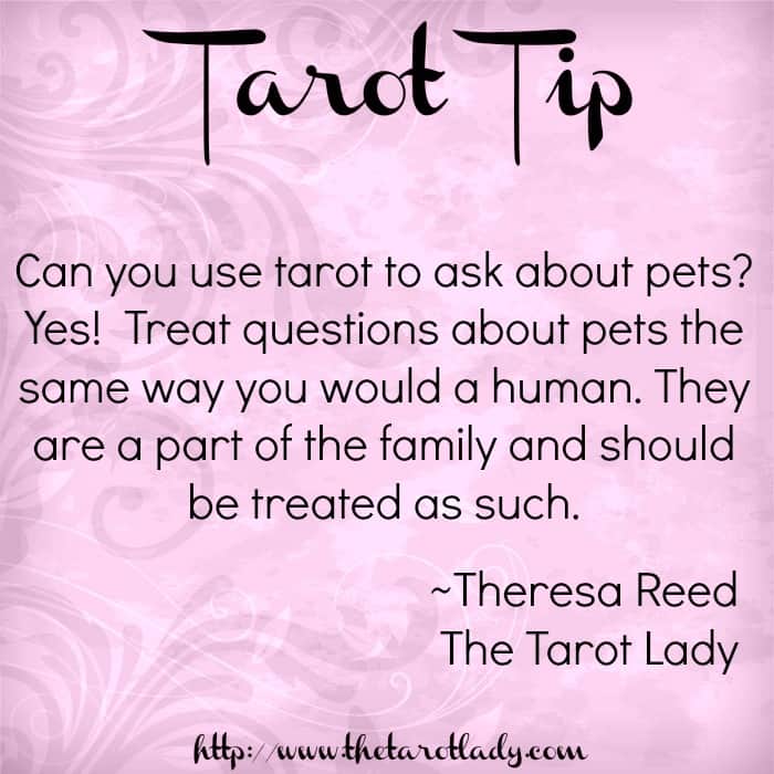 tarot tip questions about pets