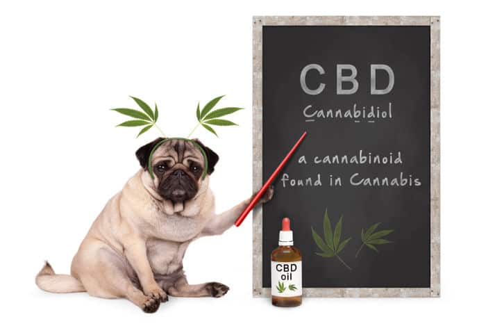The Hit List - I’m down with CBD