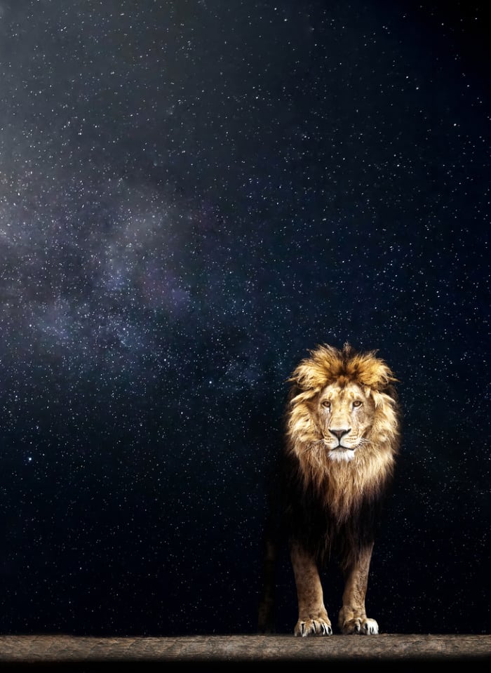 New Moon in Leo 2019 - and Tarot Readings for Each Zodiac Sign