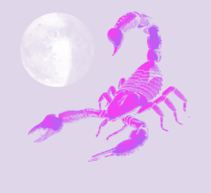 New Moon in Scorpio 2020 - and Tarot Readings for Each Zodiac Sign - The Tarot Lady