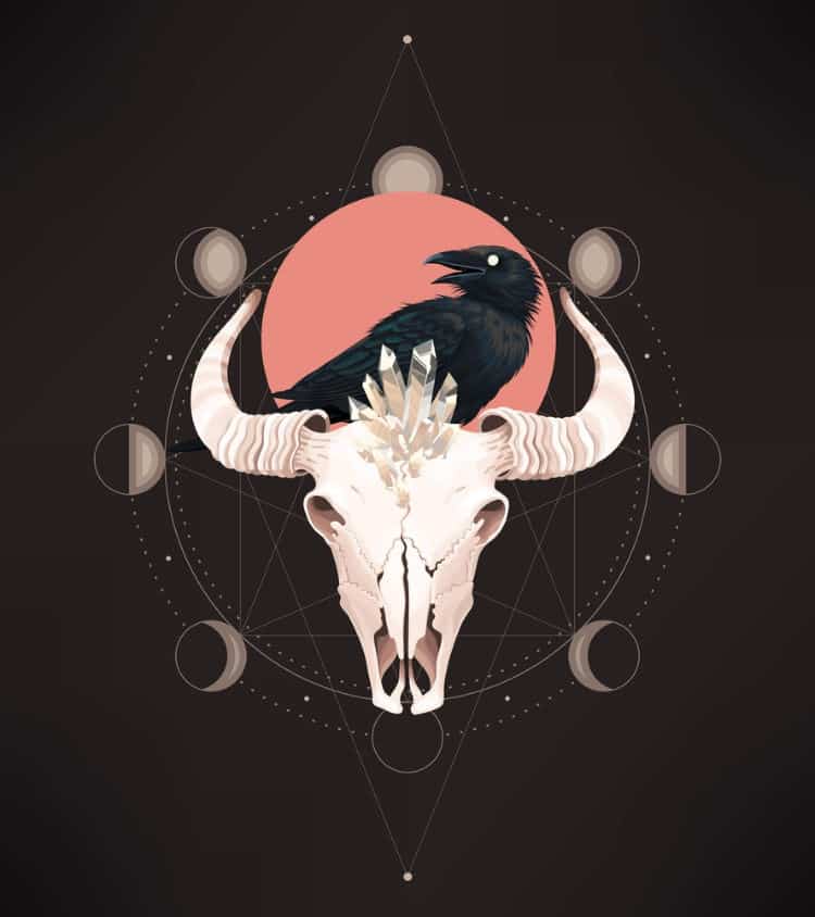 Full Moon in Taurus 2019 - and Tarot Readings for Each Zodiac Sign