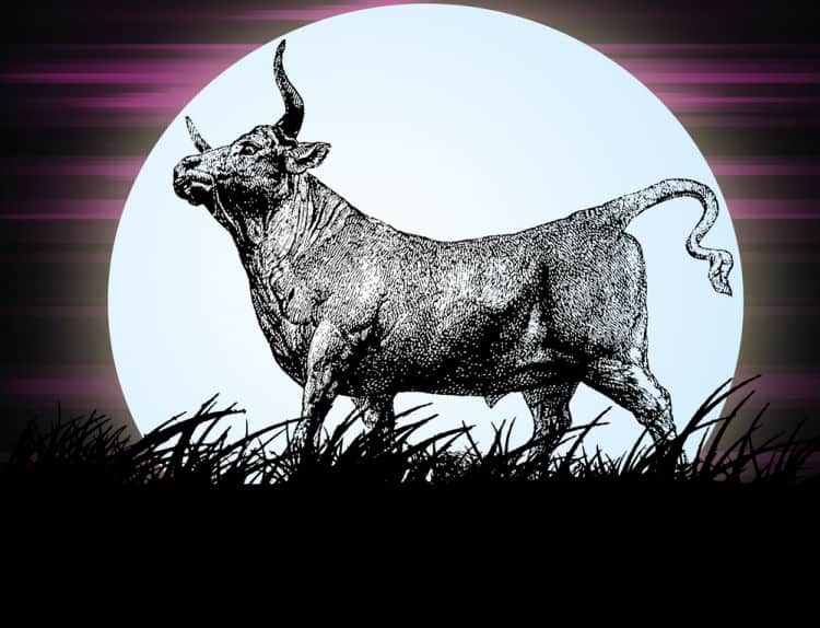 Full Moon in Taurus 2020 - and Tarot Readings for Each Zodiac Sign
