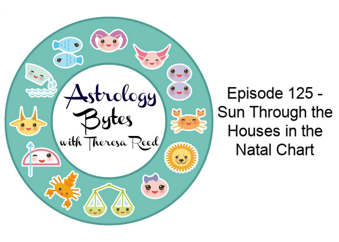 Astrology Bytes Episode 125 - Sun Through the Houses in the Natal Chart