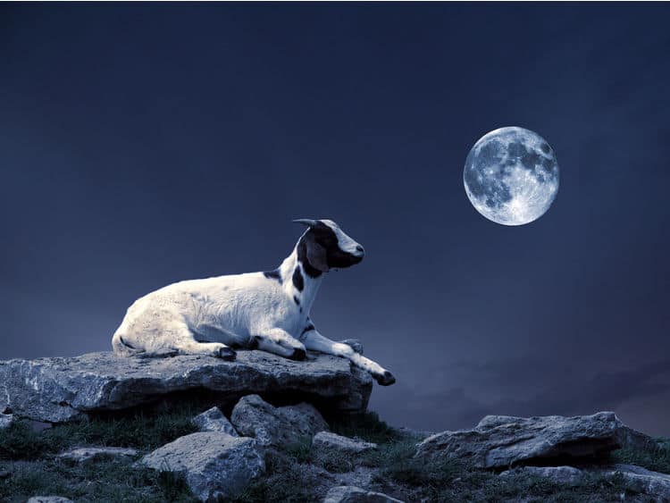 Full Moon in Capricorn 2021 - and Tarot Readings for Each ...