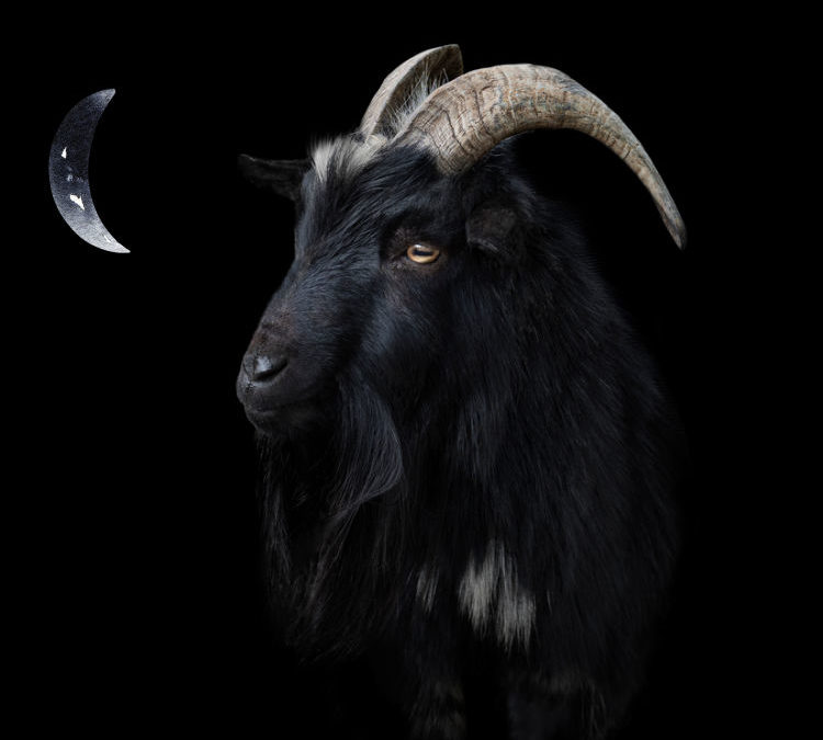 New Moon in Aries 2022 – and Tarot Readings for Each Zodiac Sign