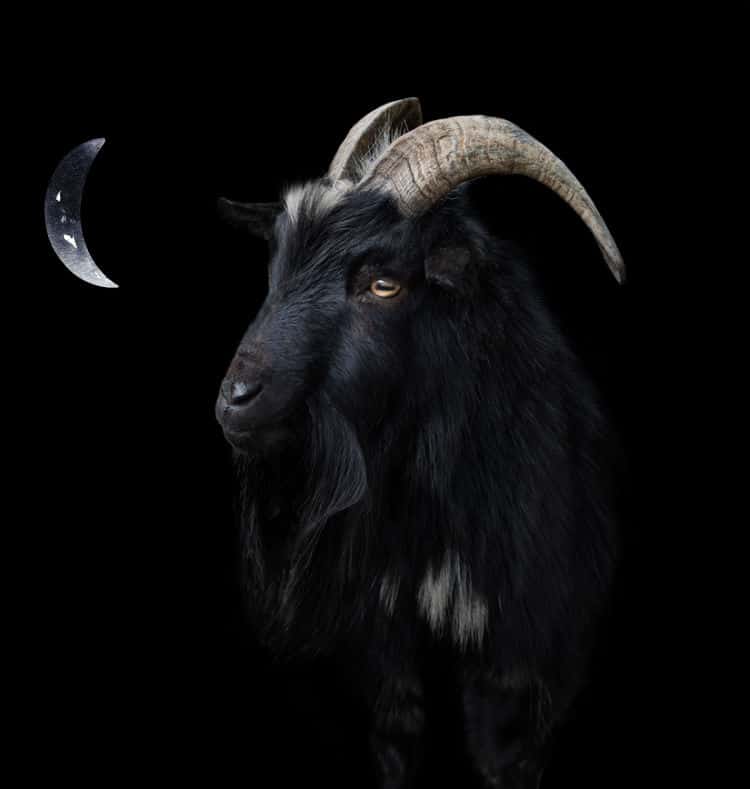 New Moon in Aries 2022 - and Tarot Readings for Each Zodiac Sign