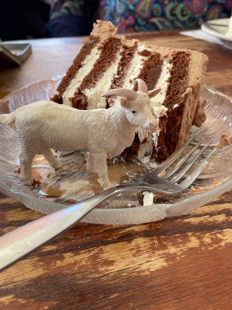Benny the Goat has his cake and eats it too