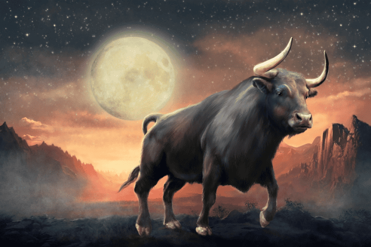 New Moon in Taurus 2023 - and Tarot Readings for Each Zodiac Sign