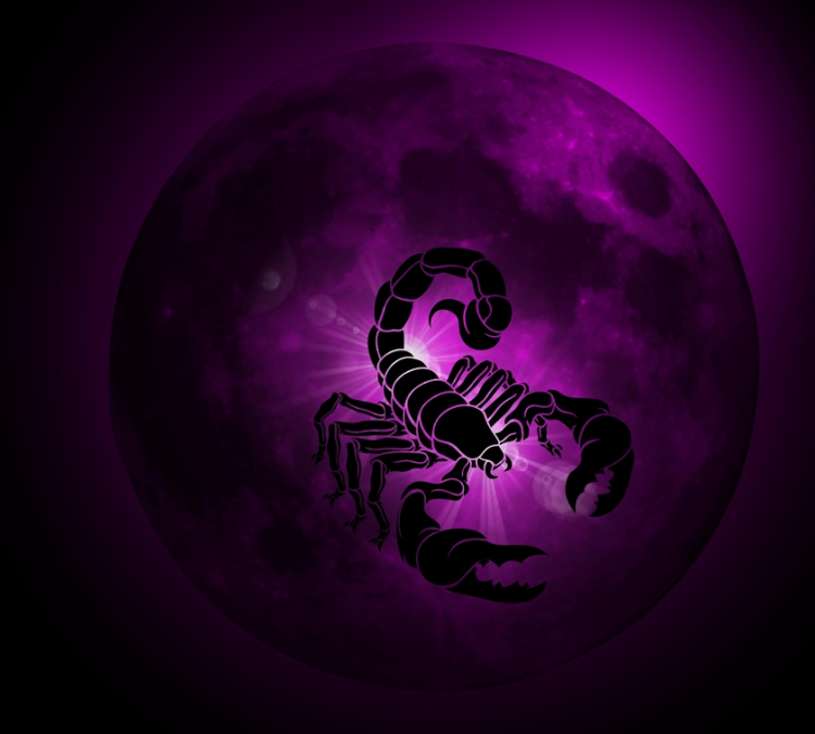 Full Moon in  Scorpio 2024 – and Tarot Readings for Each Zodiac Sign